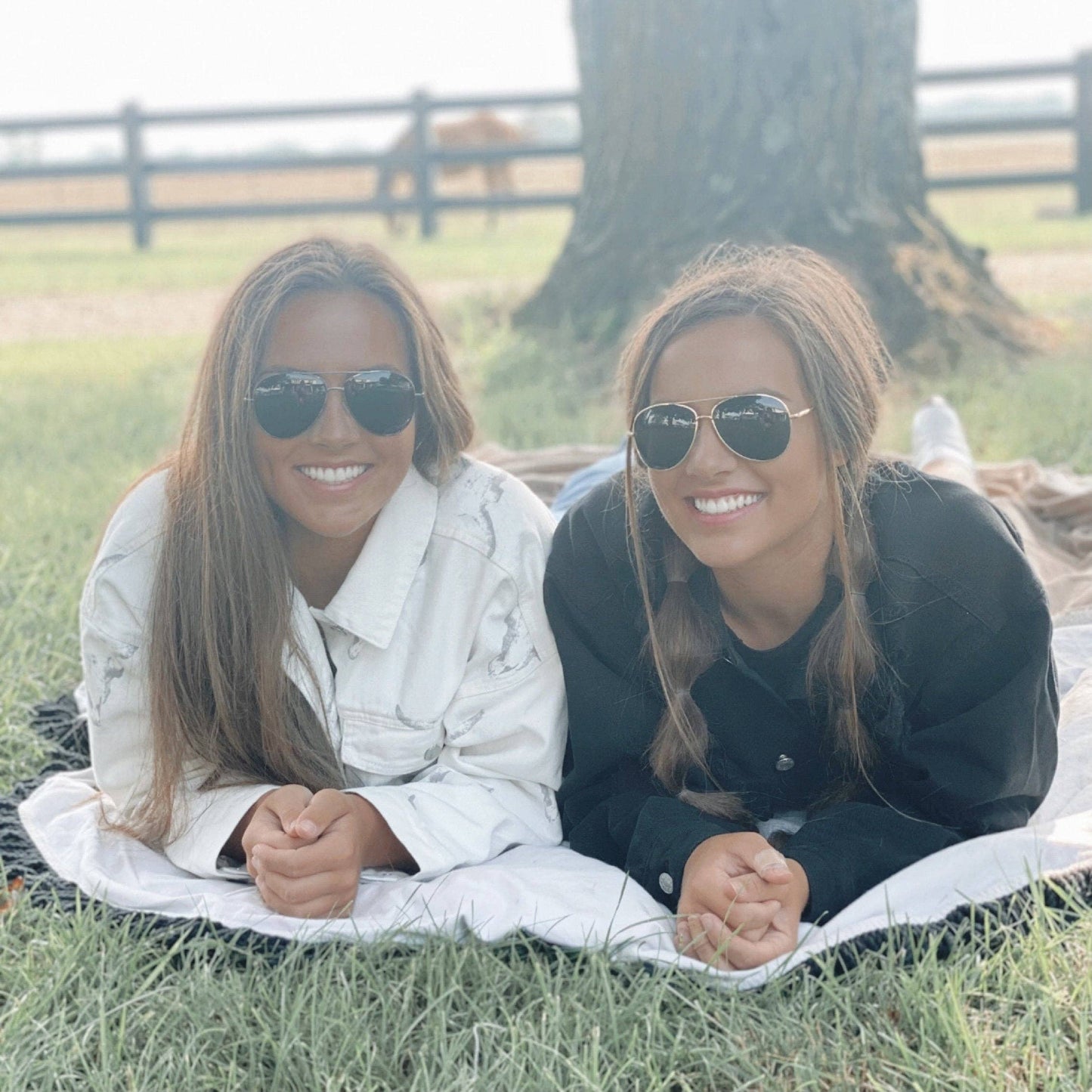 Aviator Sunglasses