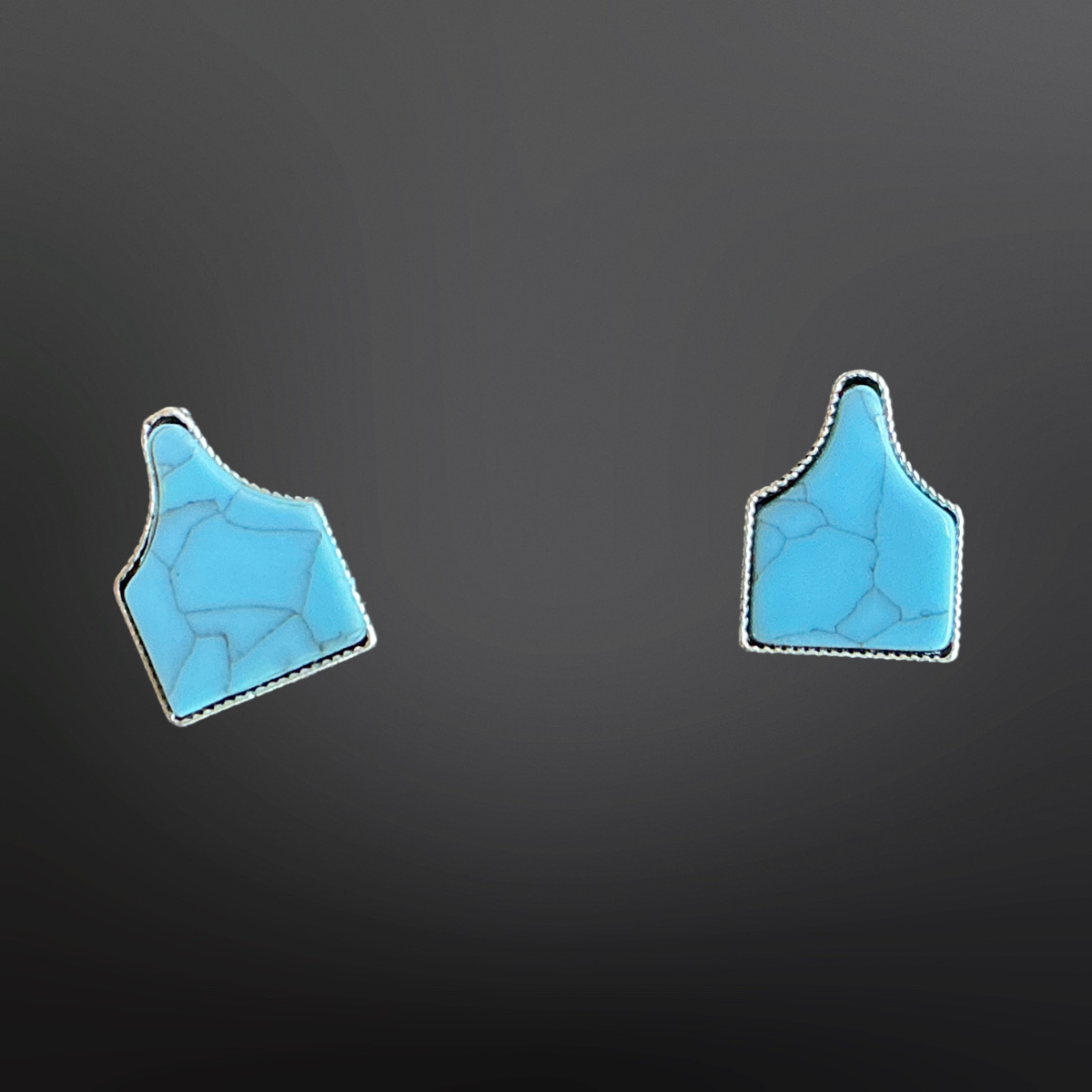 Faux Turquoise Cow Tag Earrings