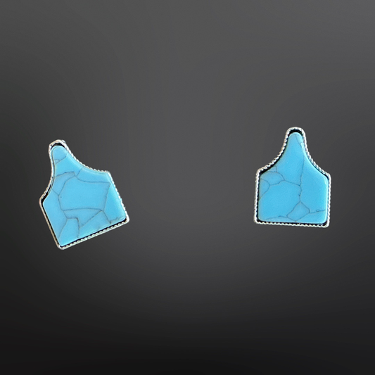 Faux Turquoise Cow Tag Earrings