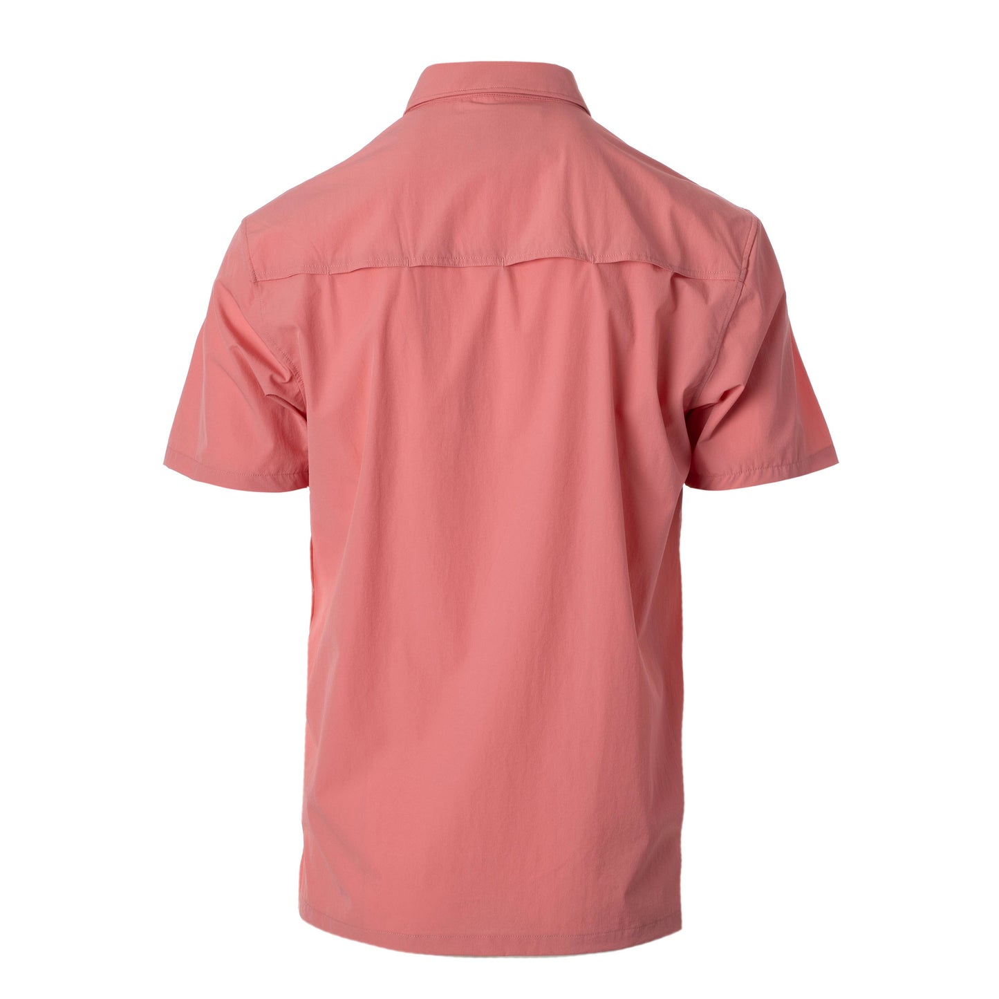 The Bolo Polo